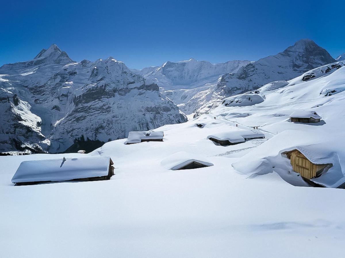Apartment Chalet Sunneblick By Interhome Grindelwald Exterior photo