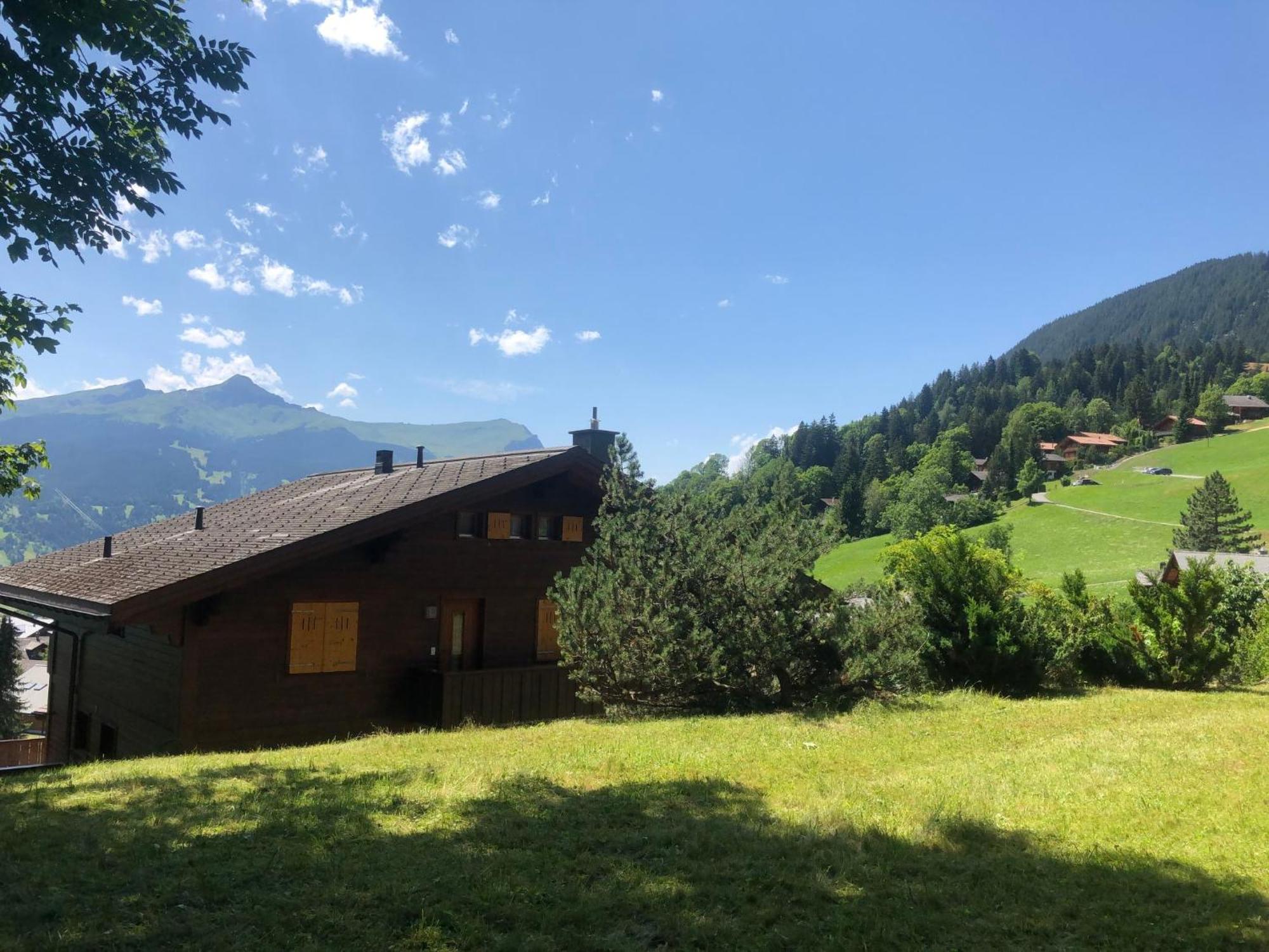 Apartment Chalet Sunneblick By Interhome Grindelwald Exterior photo